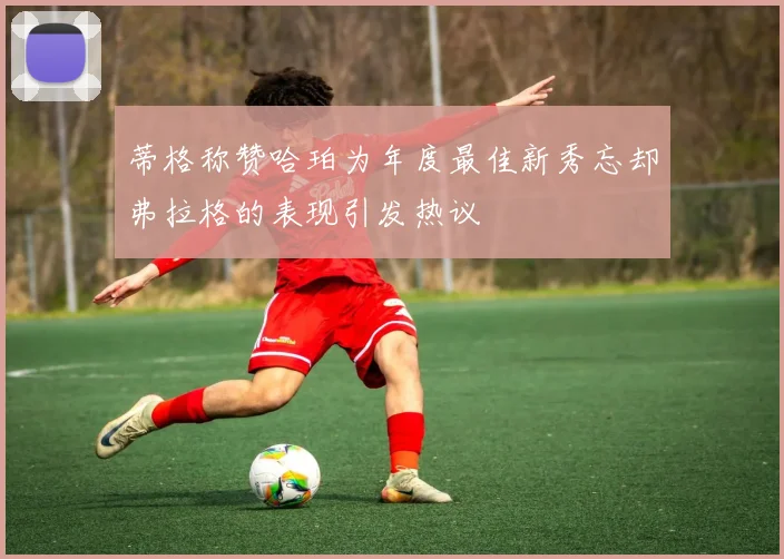 蒂格称赞哈珀为年度最佳新秀忘却弗拉格的表现引发热议
