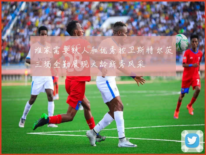 谁家需要铁人和优秀控卫斯特尔茨三场全勤展现大龄新秀风采
