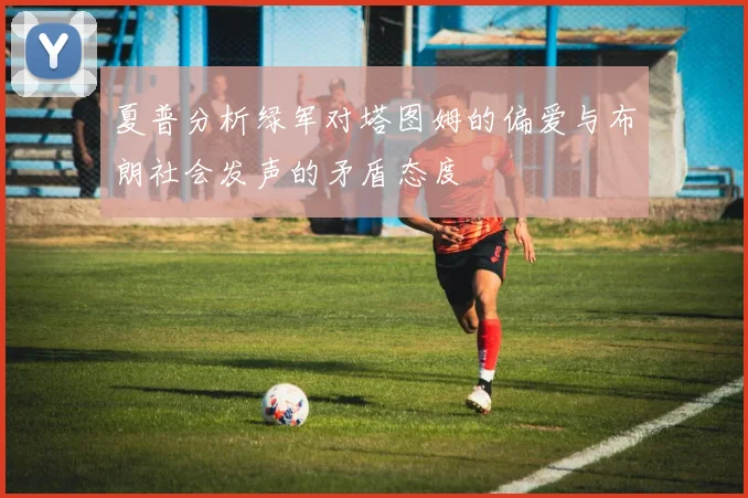夏普分析绿军对塔图姆的偏爱与布朗社会发声的矛盾态度